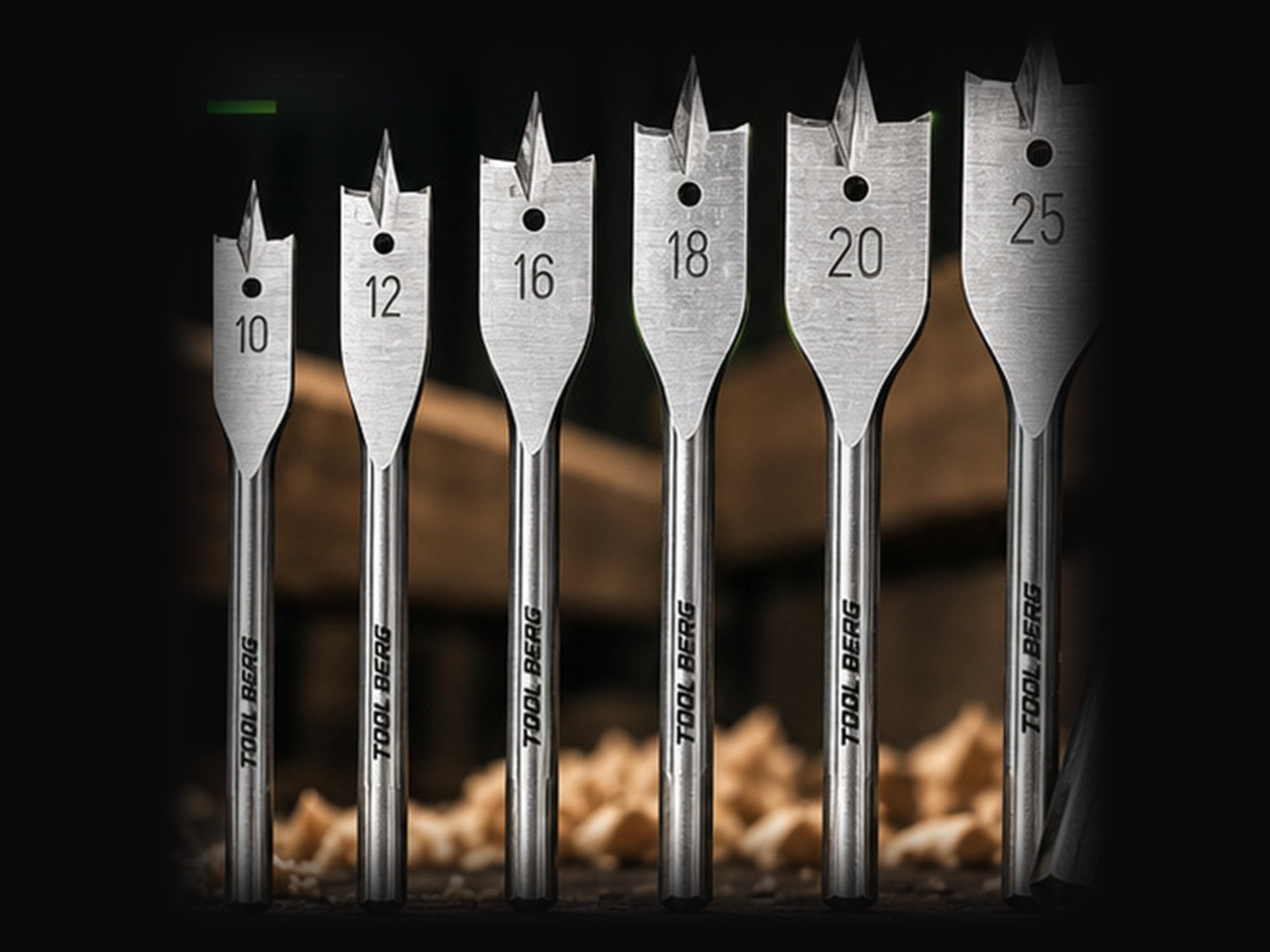 Tool Berg flat wood bits from 10 mm to 25 mm in a row