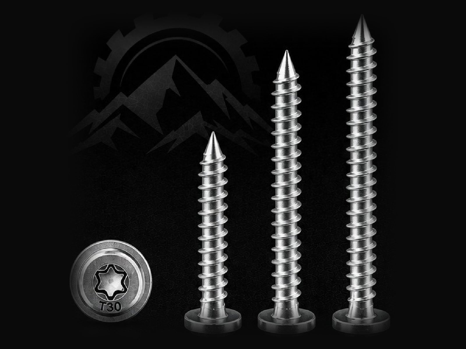Tool Berg zinc plated Torx T30 masonry screws in three lengths